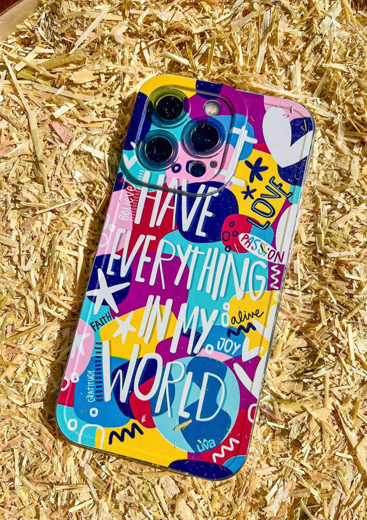 IPHONE CASE - I HAVE EVERYTHING IN MY WORLD